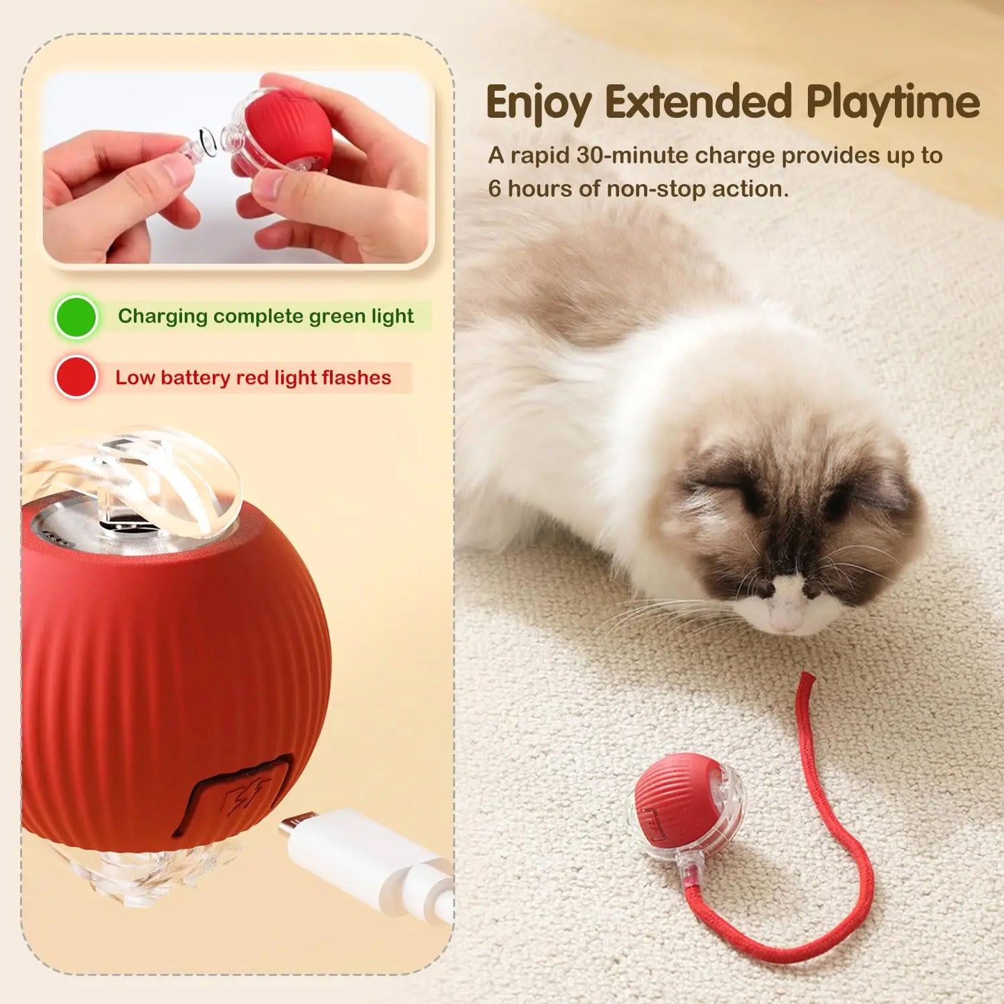 ChaseMate- Smart Pet Ball